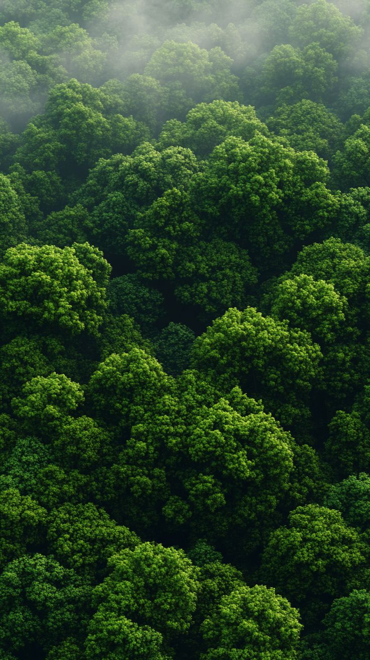 Canada landscape